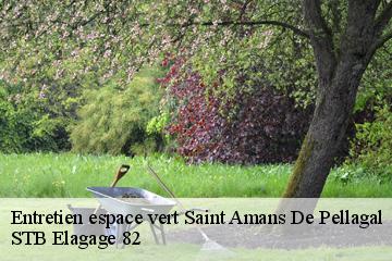 Entretien espace vert  saint-amans-de-pellagal-82110 STB Elagage 82