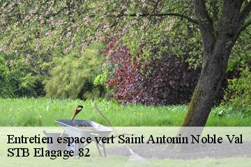 Entretien espace vert  saint-antonin-noble-val-82140 STB Elagage 82