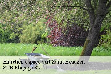 Entretien espace vert  saint-beauzeil-82150 STB Elagage 82