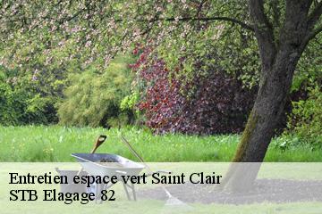 Entretien espace vert  saint-clair-82400 STB Elagage 82