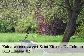 Entretien espace vert  saint-etienne-de-tulmont-82410 STB Elagage 82