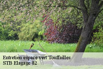 Entretien espace vert  touffailles-82190 STB Elagage 82