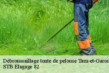 Débroussaillage tonte de pelouse   STB Elagage 82