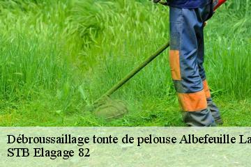 Débroussaillage tonte de pelouse  albefeuille-lagarde-82290 STB Elagage 82