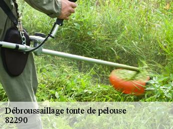 Débroussaillage tonte de pelouse  82290