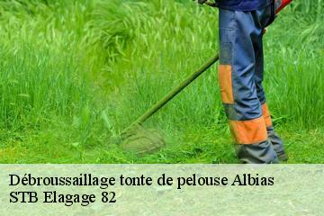 Débroussaillage tonte de pelouse  albias-82350 STB Elagage 82