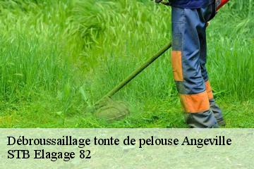 Débroussaillage tonte de pelouse  angeville-82210 STB Elagage 82