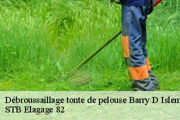 Débroussaillage tonte de pelouse  barry-d-islemade-82290 STB Elagage 82