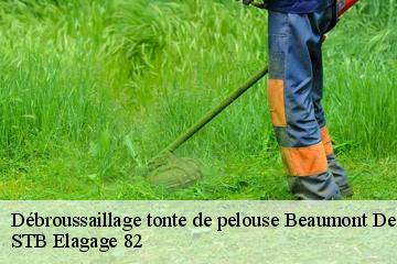 Débroussaillage tonte de pelouse  beaumont-de-lomagne-82500 STB Elagage 82