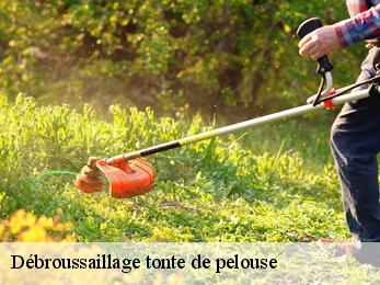 Débroussaillage tonte de pelouse