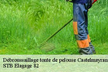 Débroussaillage tonte de pelouse  castelmayran-82210 STB Elagage 82