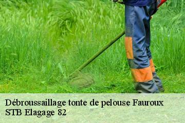 Débroussaillage tonte de pelouse  fauroux-82190 STB Elagage 82