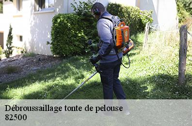 Débroussaillage tonte de pelouse  82500