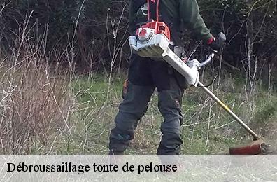 Débroussaillage tonte de pelouse