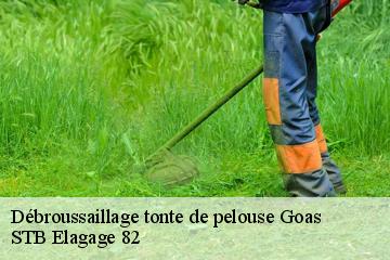 Débroussaillage tonte de pelouse  goas-82500 STB Elagage 82