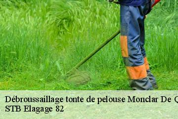 Débroussaillage tonte de pelouse  monclar-de-quercy-82230 STB Elagage 82