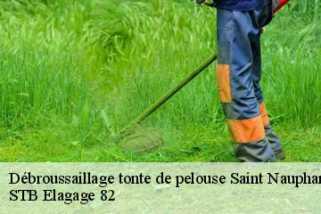 Débroussaillage tonte de pelouse  saint-nauphary-82370 STB Elagage 82