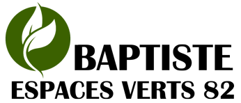 elagage-baptiste-espaces-verts